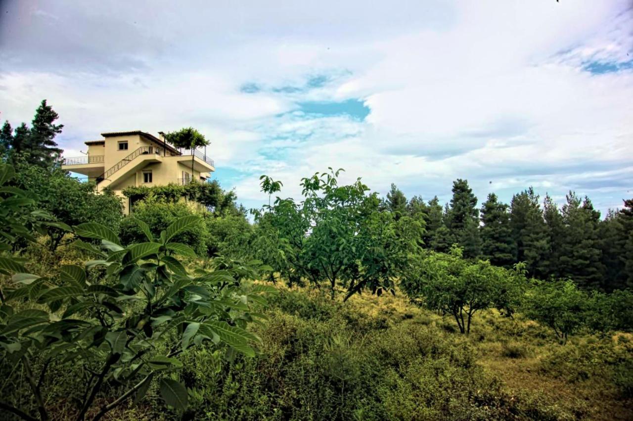 Dream House Capturing The Magic Of Nature Vlachia Екстер'єр фото
