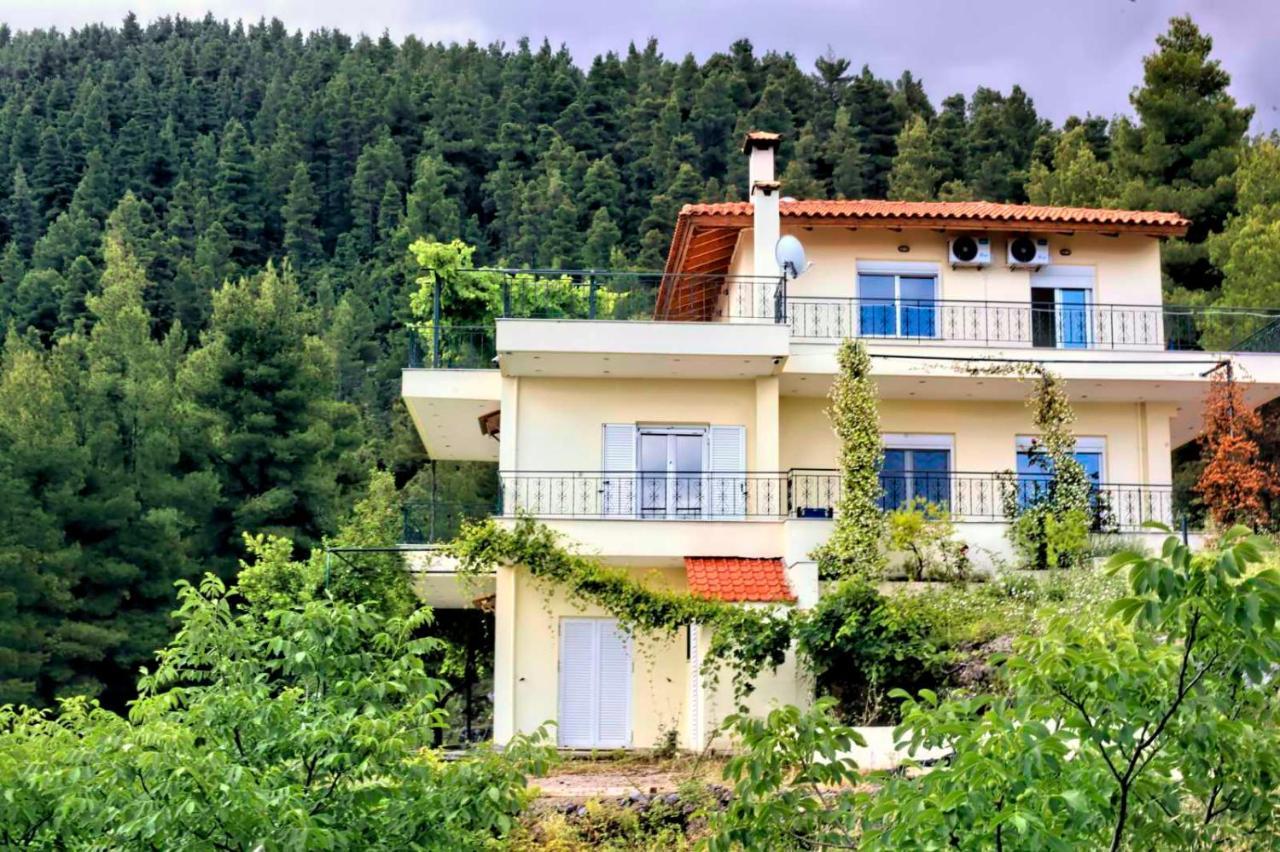 Dream House Capturing The Magic Of Nature Vlachia Екстер'єр фото