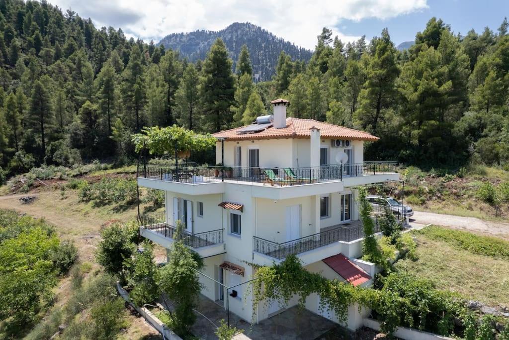 Dream House Capturing The Magic Of Nature Vlachia Екстер'єр фото