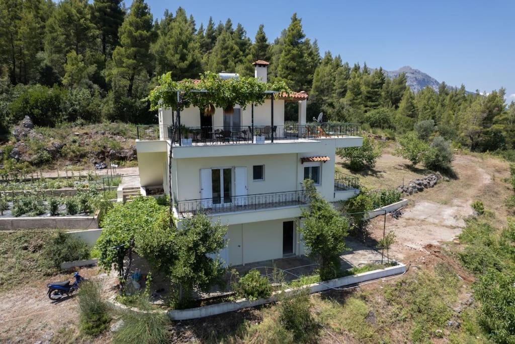 Dream House Capturing The Magic Of Nature Vlachia Екстер'єр фото