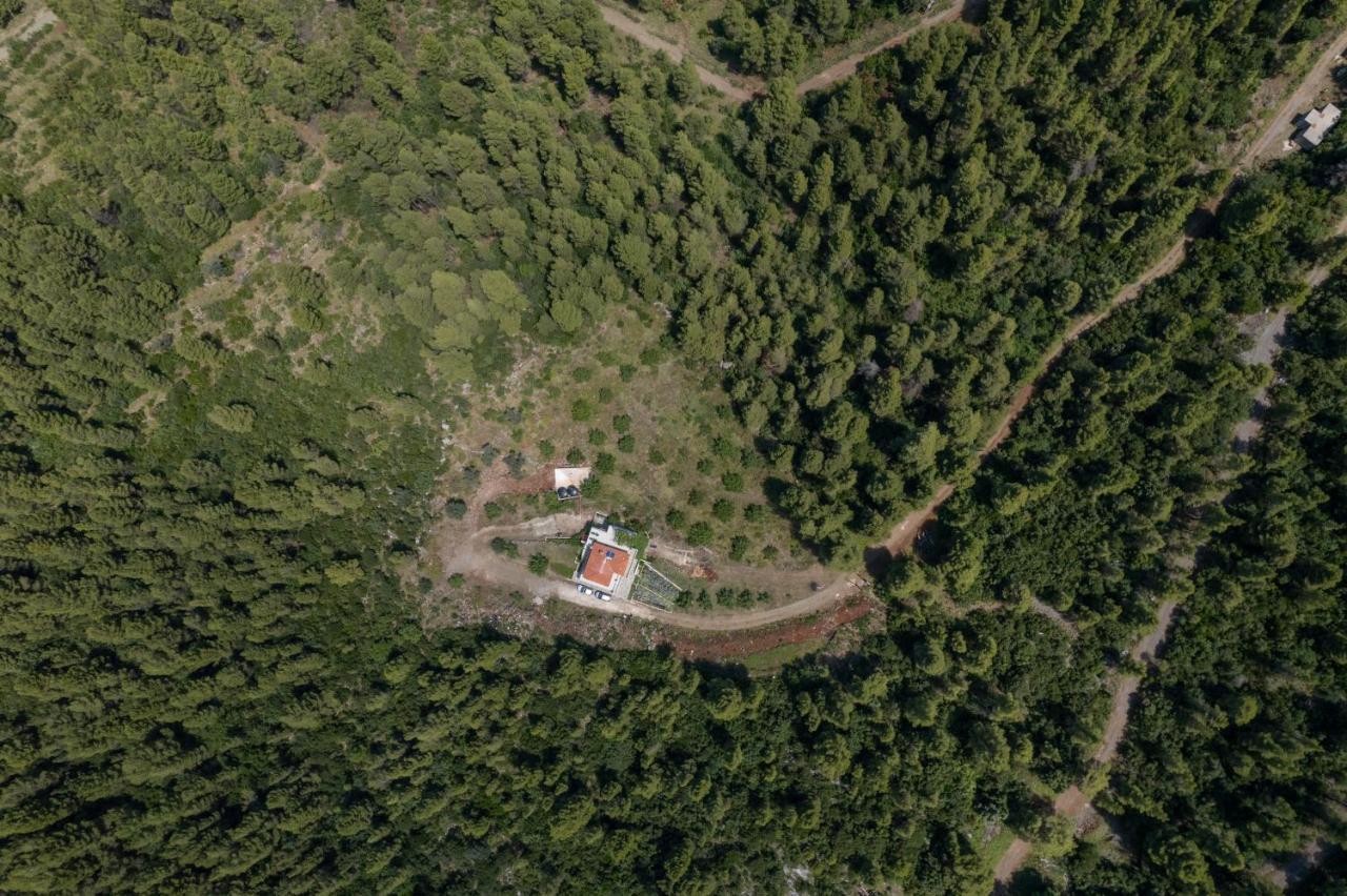 Dream House Capturing The Magic Of Nature Vlachia Екстер'єр фото