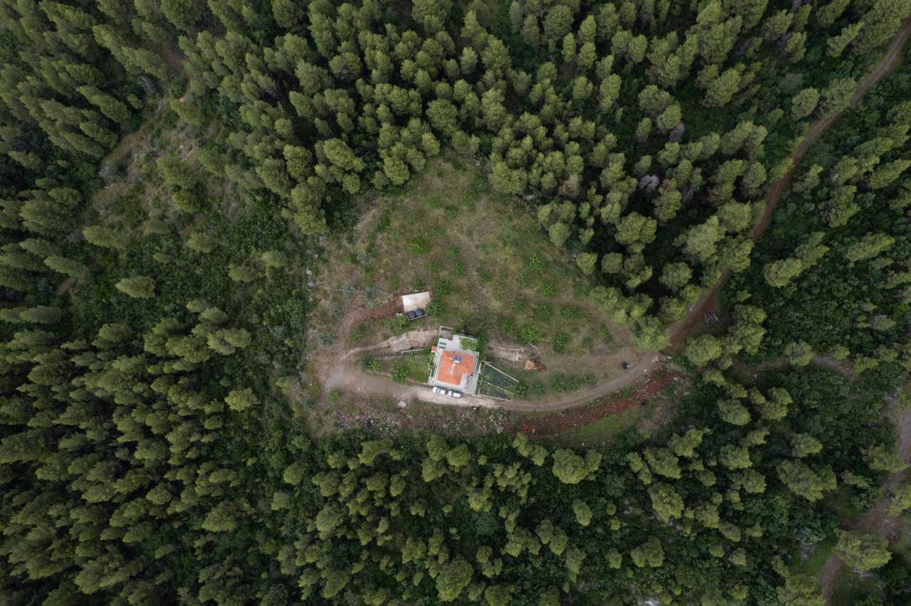 Dream House Capturing The Magic Of Nature Vlachia Екстер'єр фото